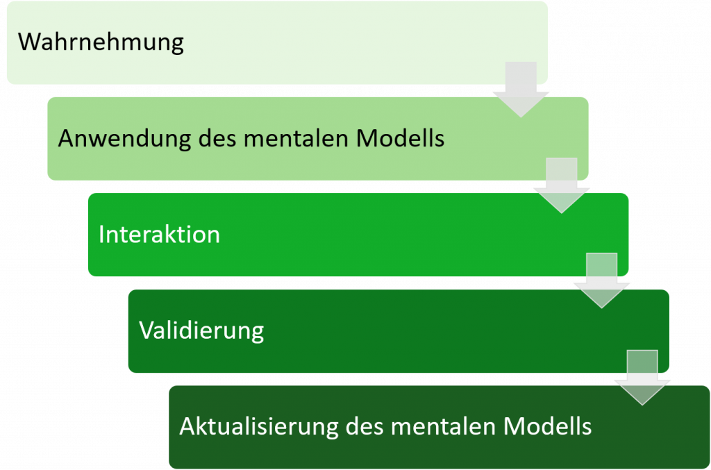 Der Ablauf zur Anwendung eines mentalen Modells: Wahrnehmung, Anwendung, Interaktion, Validierung, Aktualisierung